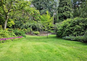 Optimiser l'expérience du jardin à Saint-Desirat