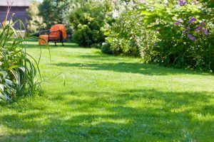 travaux jardin et paysage Saint-Desirat